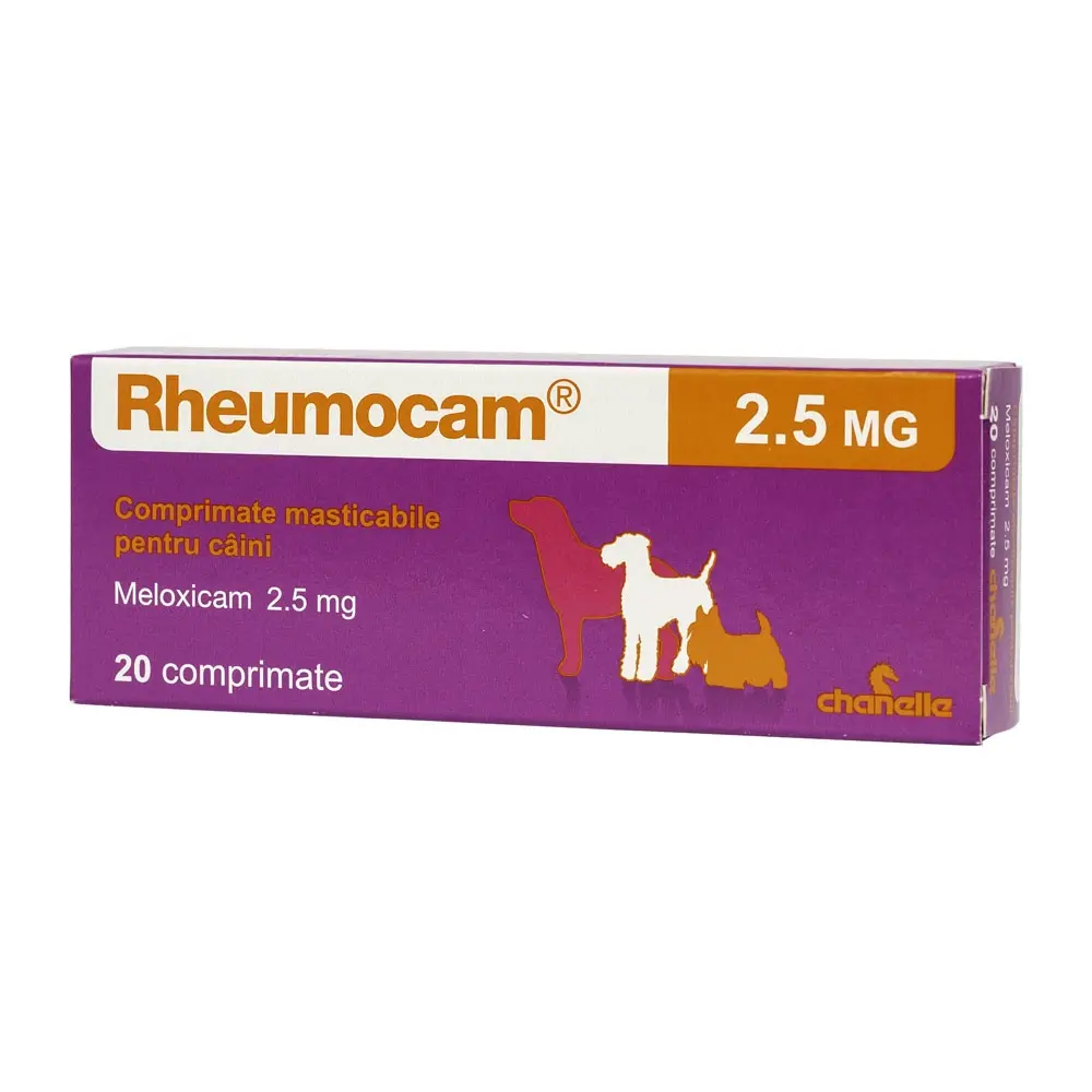Rheumocam, 20 comprimate - Image 2