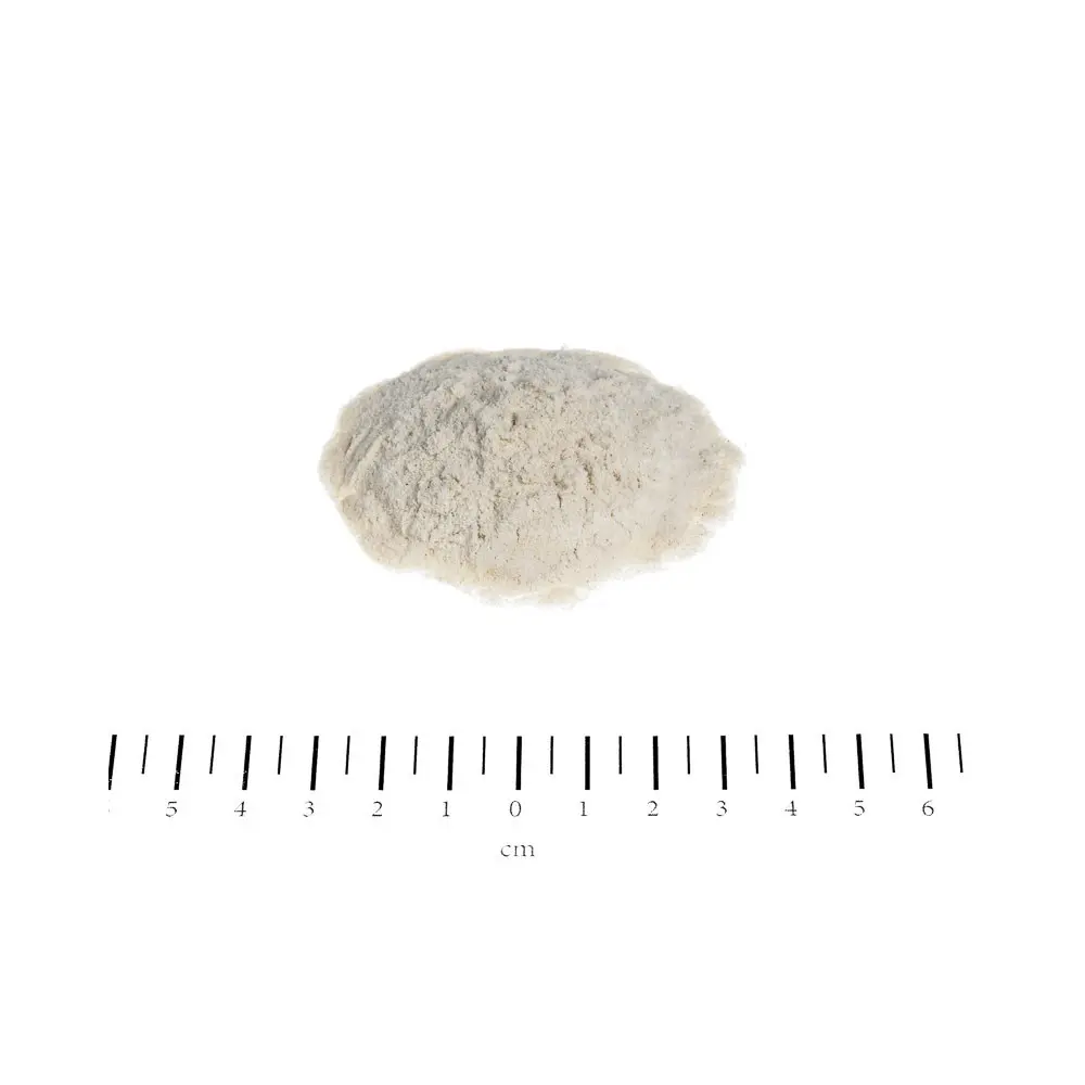 Canina Flexan - Image 2