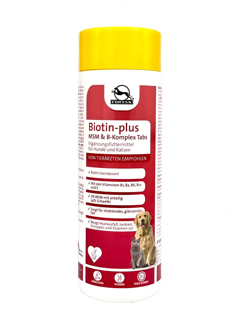 Fortan Biotin Plus MSM & Complex B, 100 grame