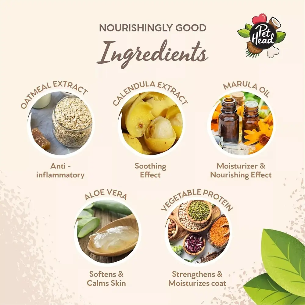 Pet Head Sensitive Soul - Image 5