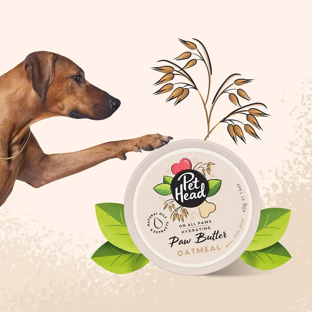 Pet Head Paw Butter Balsam Labute Caini, 40 grame - Image 2