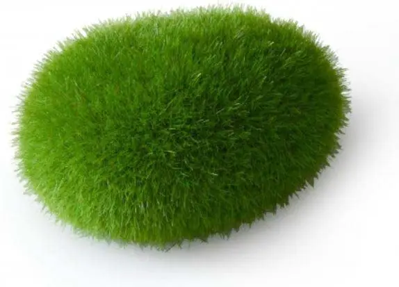 AQUA D'ELLA Decoratiune pentru acvarii Muschi din rasina 11,5x9x6cm