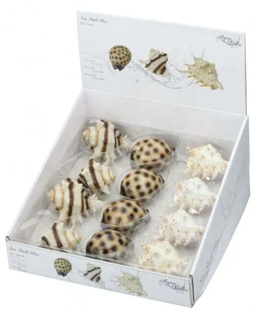 AQUA D'ELLA Decoratiune pentru acvarii Scoici, mix 8,5-10cm