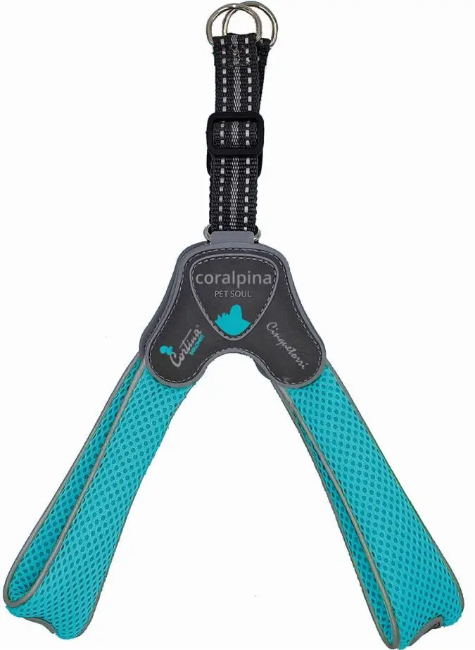 CORALPINA Ham CINQUETORRI pentru caini, Turcoaz