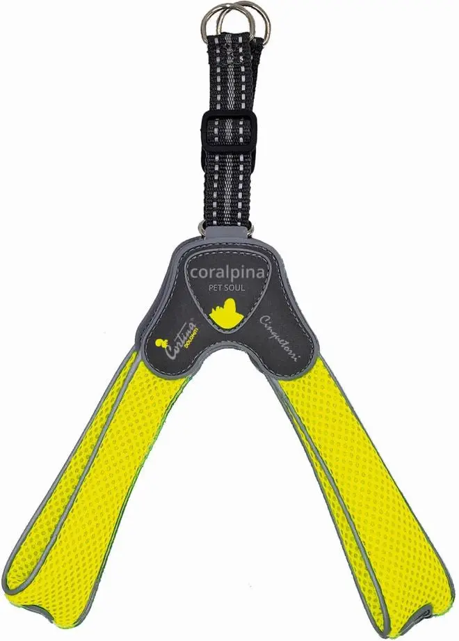 CORALPINA Ham CINQUETORRI pentru caini, Galben