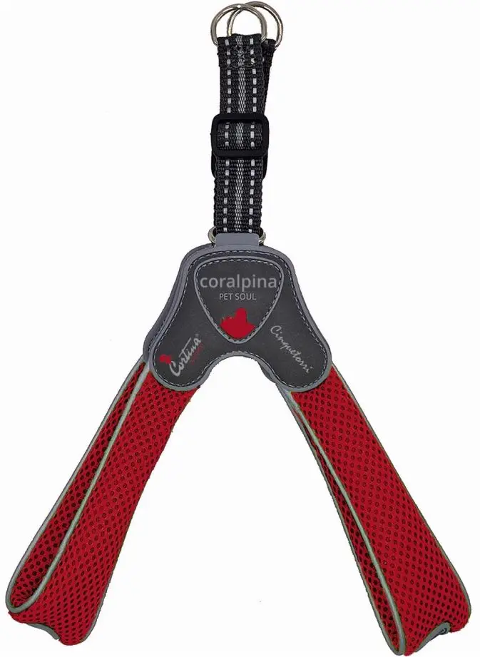 CORALPINA Ham CINQUETORRI pentru caini, Rosu