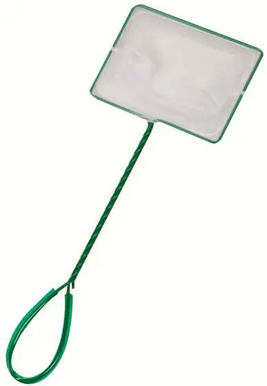 FLAMINGO Minciog verde