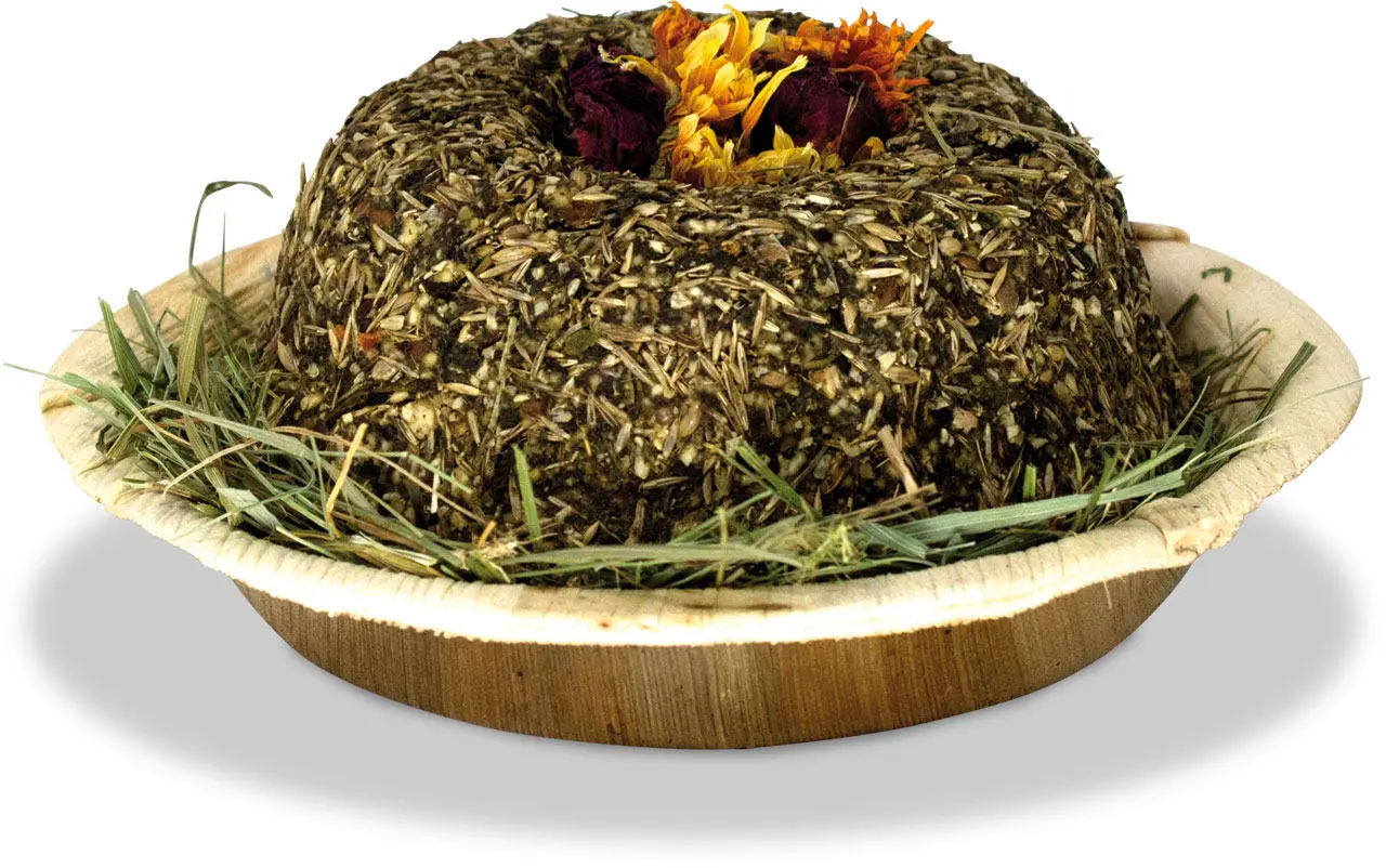 JR FARM Tort pentru rozatoare cu plante, flori si frunze palmier 180g