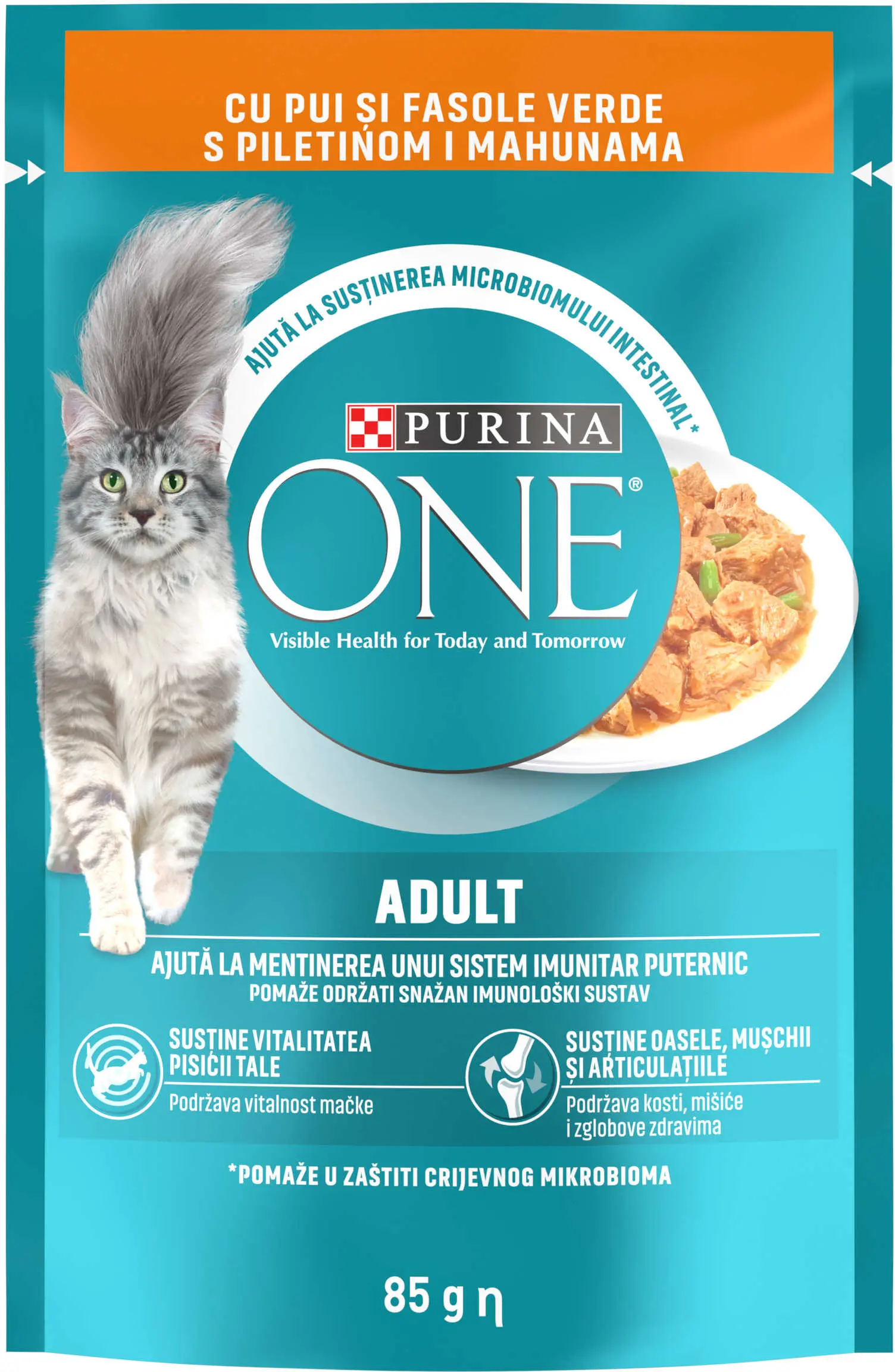 PURINA ONE Hrana umeda pentru pisici Adulte, cu Pui si Fasole Verde, 85g