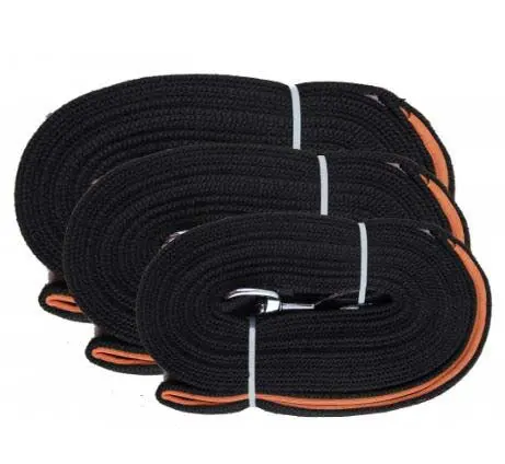 PAWISE Lesa pentru caini Tracking Leash, pentru urmarire