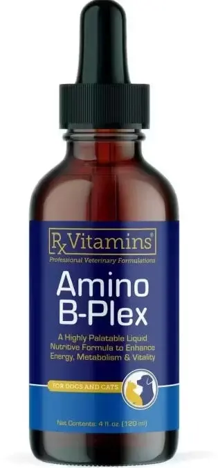 RX VITAMINS Amino B-Plex Supliment nutritional