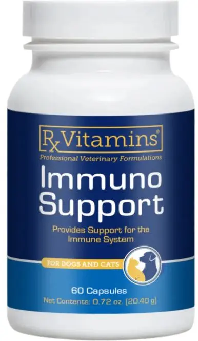 RX VITAMINS Immuno Support Supliment nutritional, 60 capsule