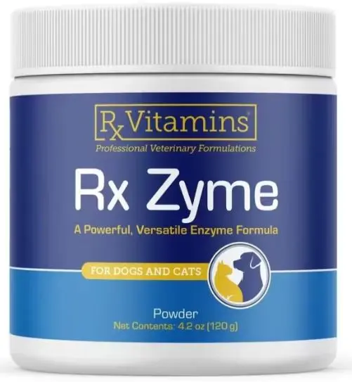 RX VITAMINS Rx Zyme Supliment nutritional 120g