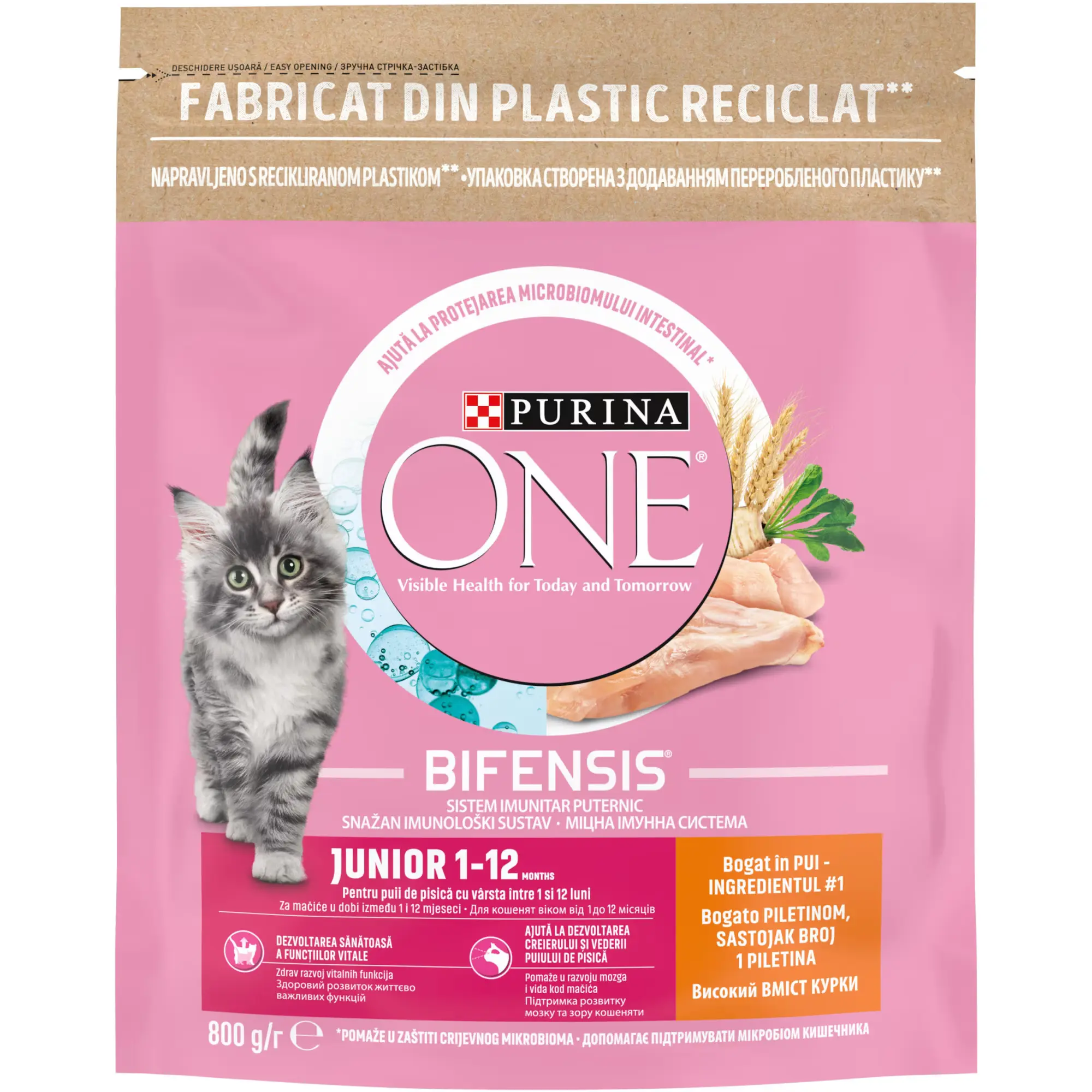PURINA ONE Hrana uscata pentru pisicute JUNIOR, cu Pui 800g