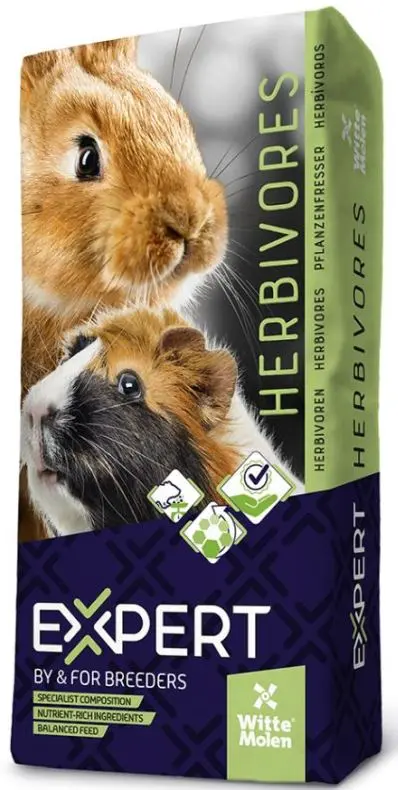 WITTE MOLEN Expert Hrana pentru sinsila si degu 15kg