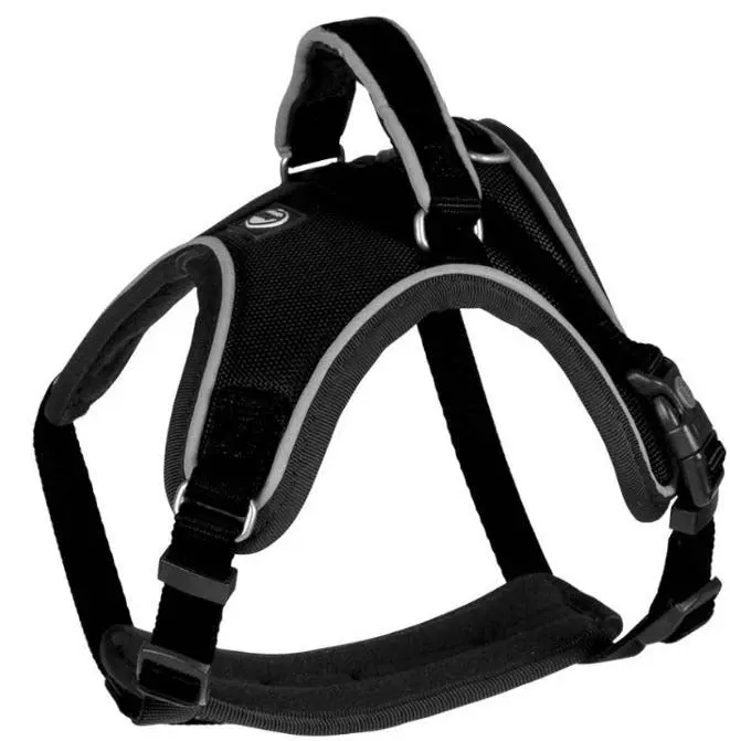 EXPLOR West ham, nailon