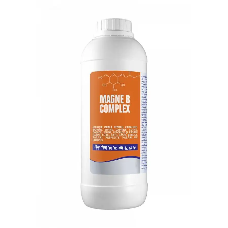 MAGNE B COMPLEX, Pasteur, solutie orala, 1 L