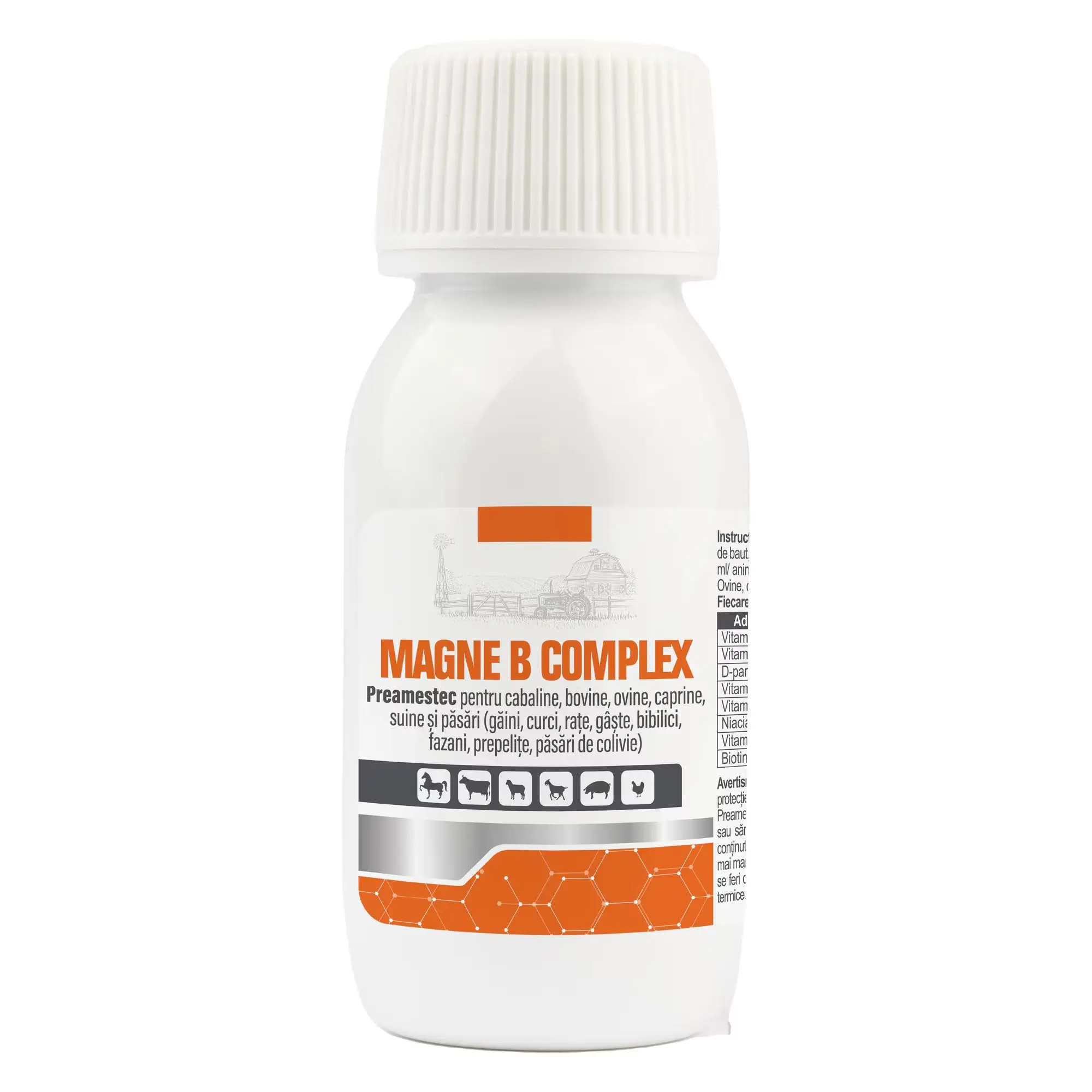 MAGNE B COMPLEX, Pasteur, solutie orala, 50 ml