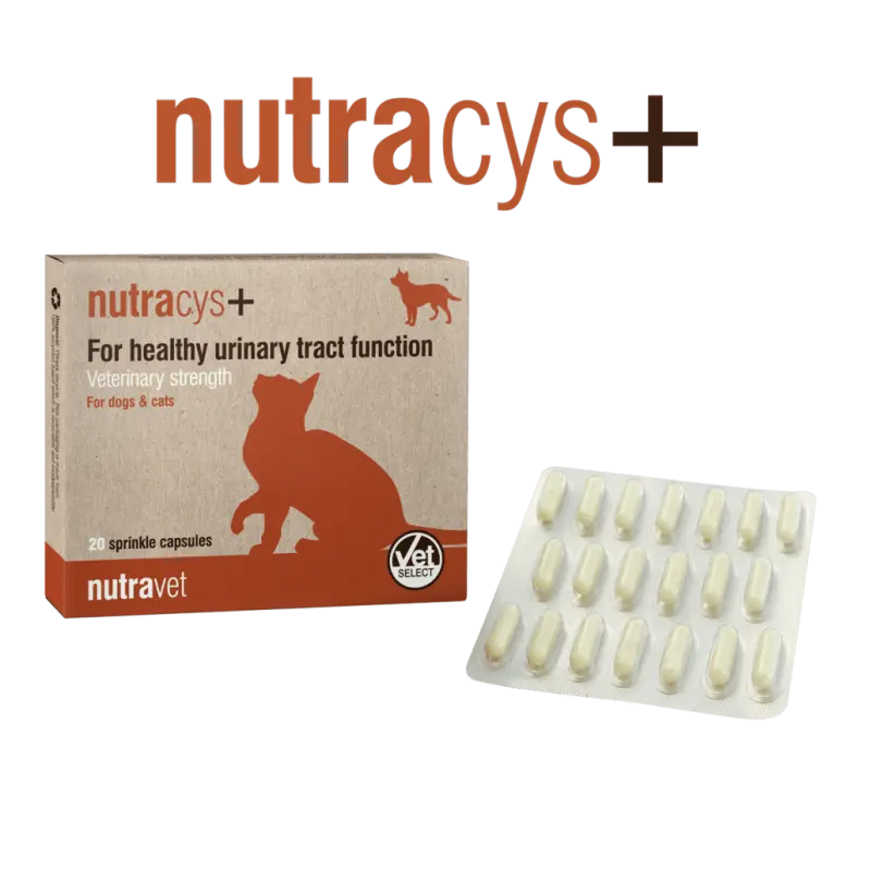 Nutravet Nutracys+, Caini & Pisici, 20 capsule