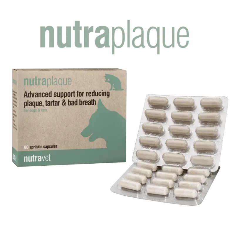 Nutravet NutraPlaque, Caini & Pisici, 45 capsule moi