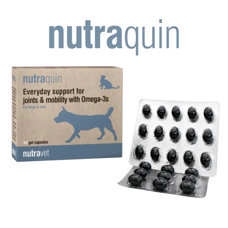 Nutravet Nutraquin, Caini & Pisici, 45 capsule moi