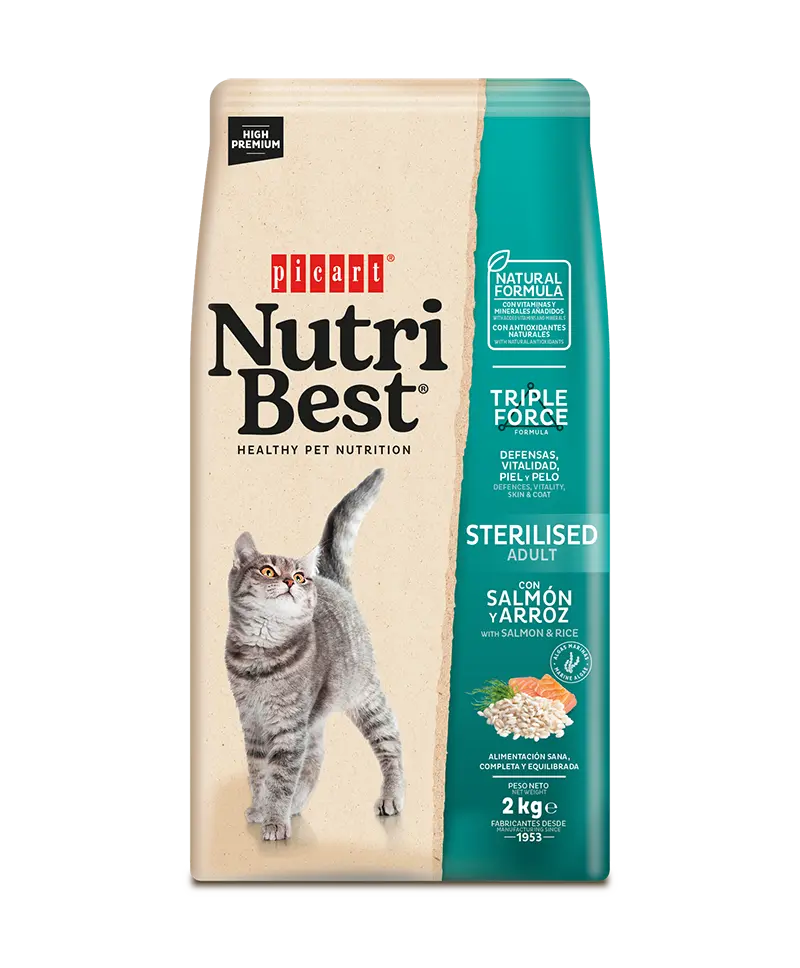 Hrana Uscata Pisici Premium, NutriBest Adult Sterilised, Somon si Orez, 2 kg