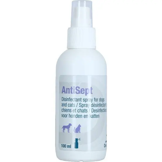 Antisept, 100 ml