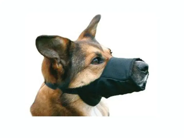 Botnita caine nylon nr. 4 XL