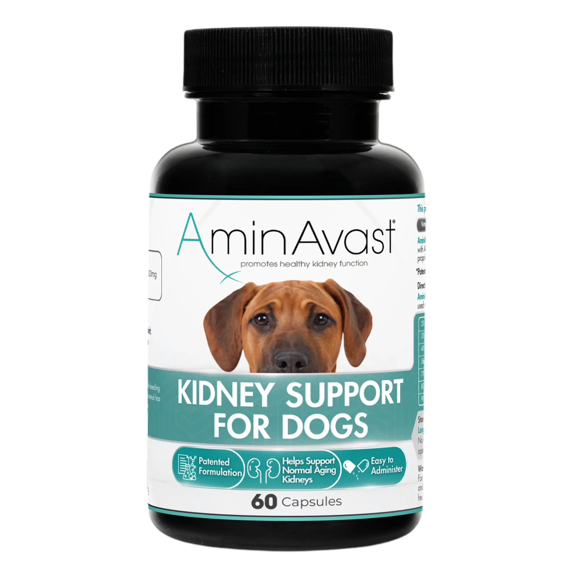 Aminavast Dog, 1000 mg/ 60 capsule
