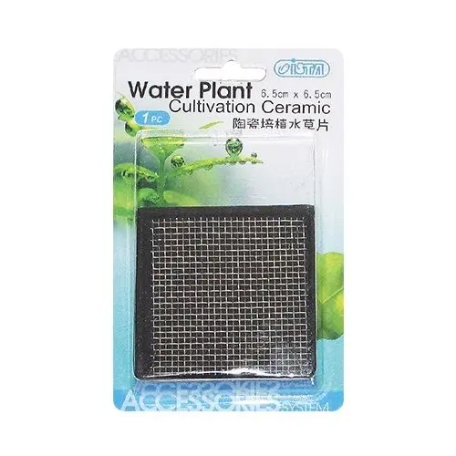ISTA - Suport ceramic cultivare plante - 6.5x6.5 cm