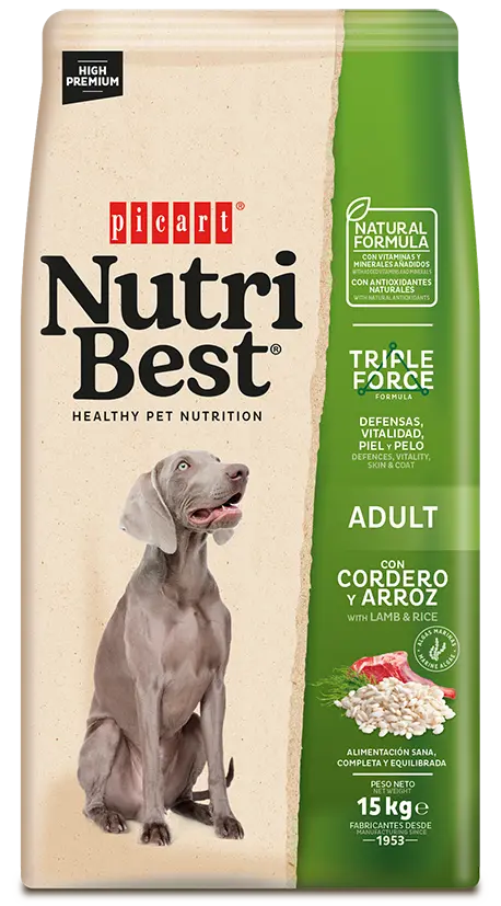 Hrana Uscata Caini Premium, NutriBest Adult Dog, Miel si Orez, 15 kg