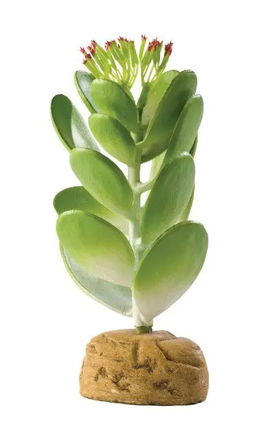 EXO TERRA PLANTA JADE CACTUS PT2984
