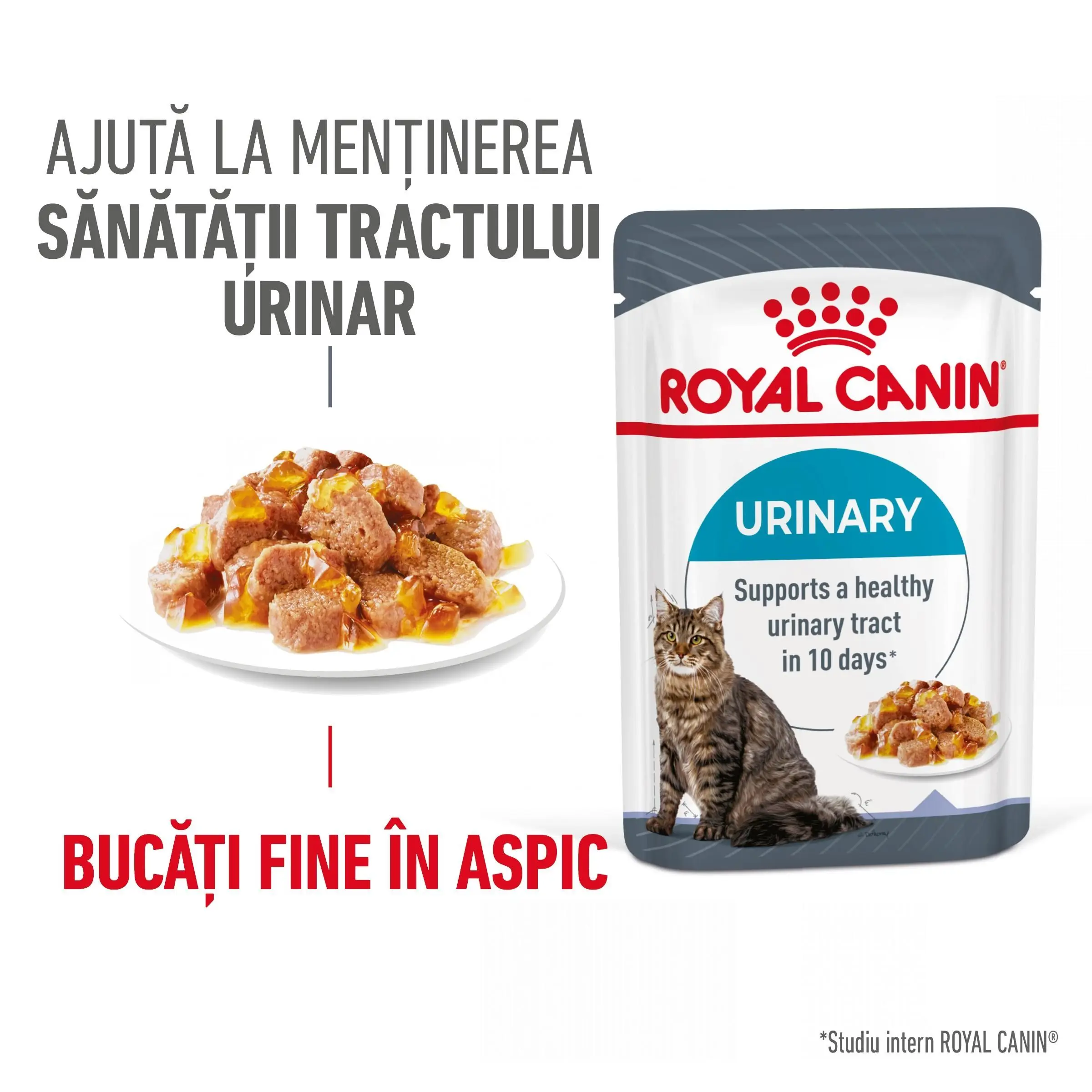 Royal Canin Urinary Care Adult hrana umeda pisica, sanatatea tractului urinar (in aspic), 12 x 85 g