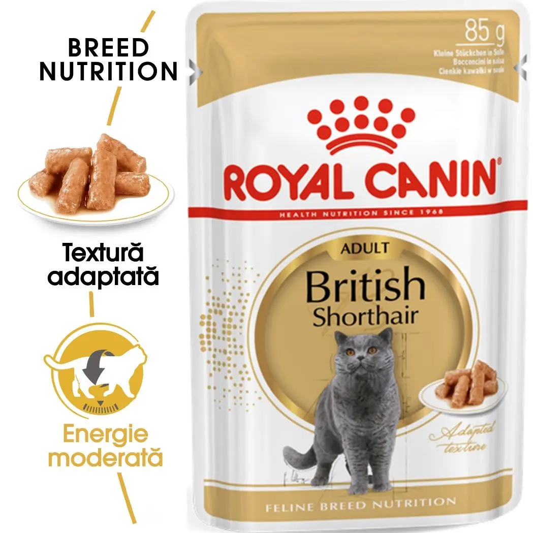 Royal Canin British Shorthair Adult hrana umeda pisica (in sos), 85 g