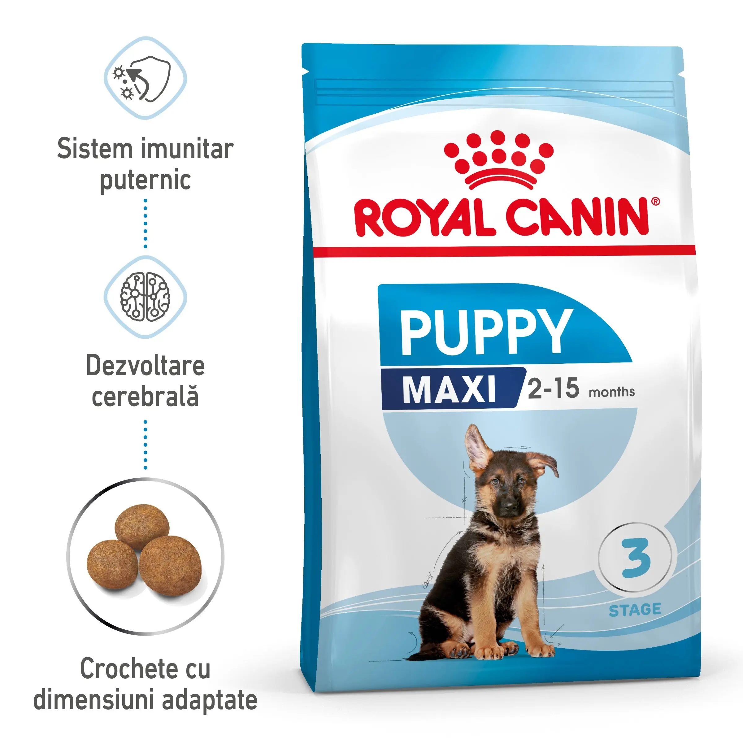 Royal Canin Maxi Puppy hrana uscata caine junior, 12 kg