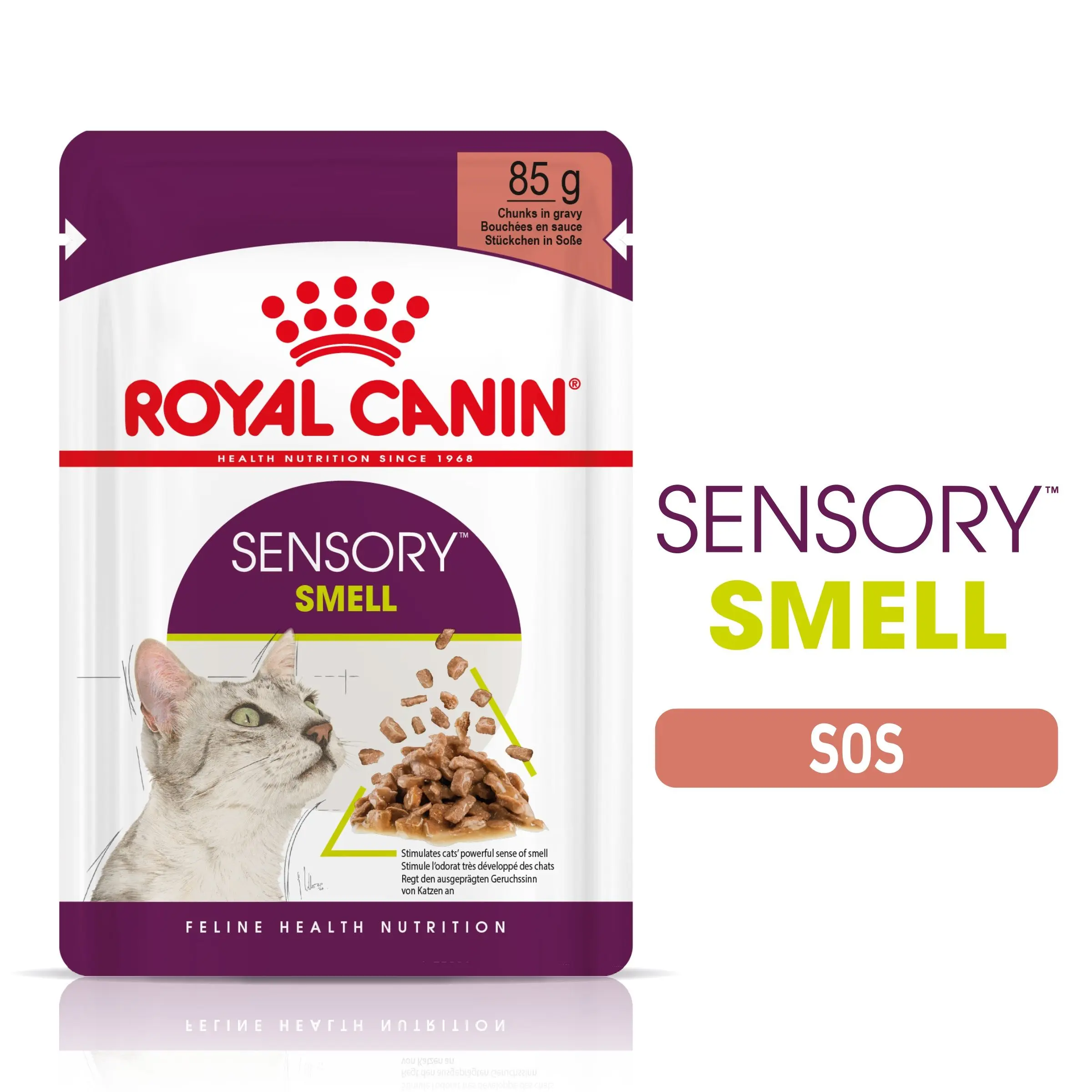 Royal Canin Sensory Smell, hrana umeda pisici, stimularea mirosului (in sos), 12 x 85 g