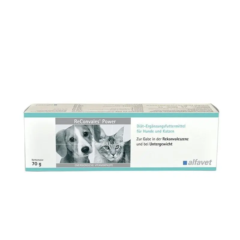 Reconvales Power, Alfavet, pasta, 70 g
