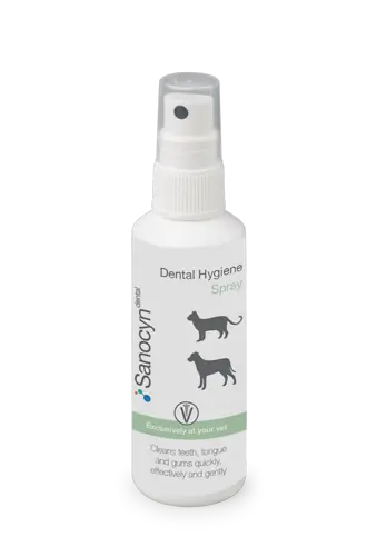 Sanocyn Forte Dental Hygiene Spray, 75 ml