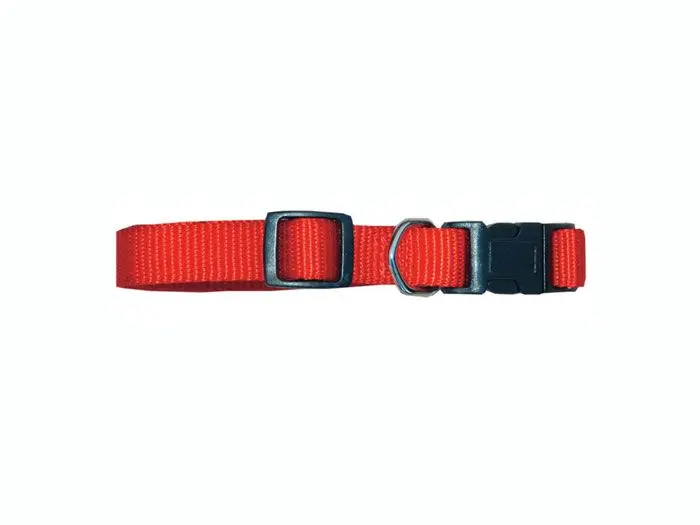 Zgarda caine nylon 25 mm