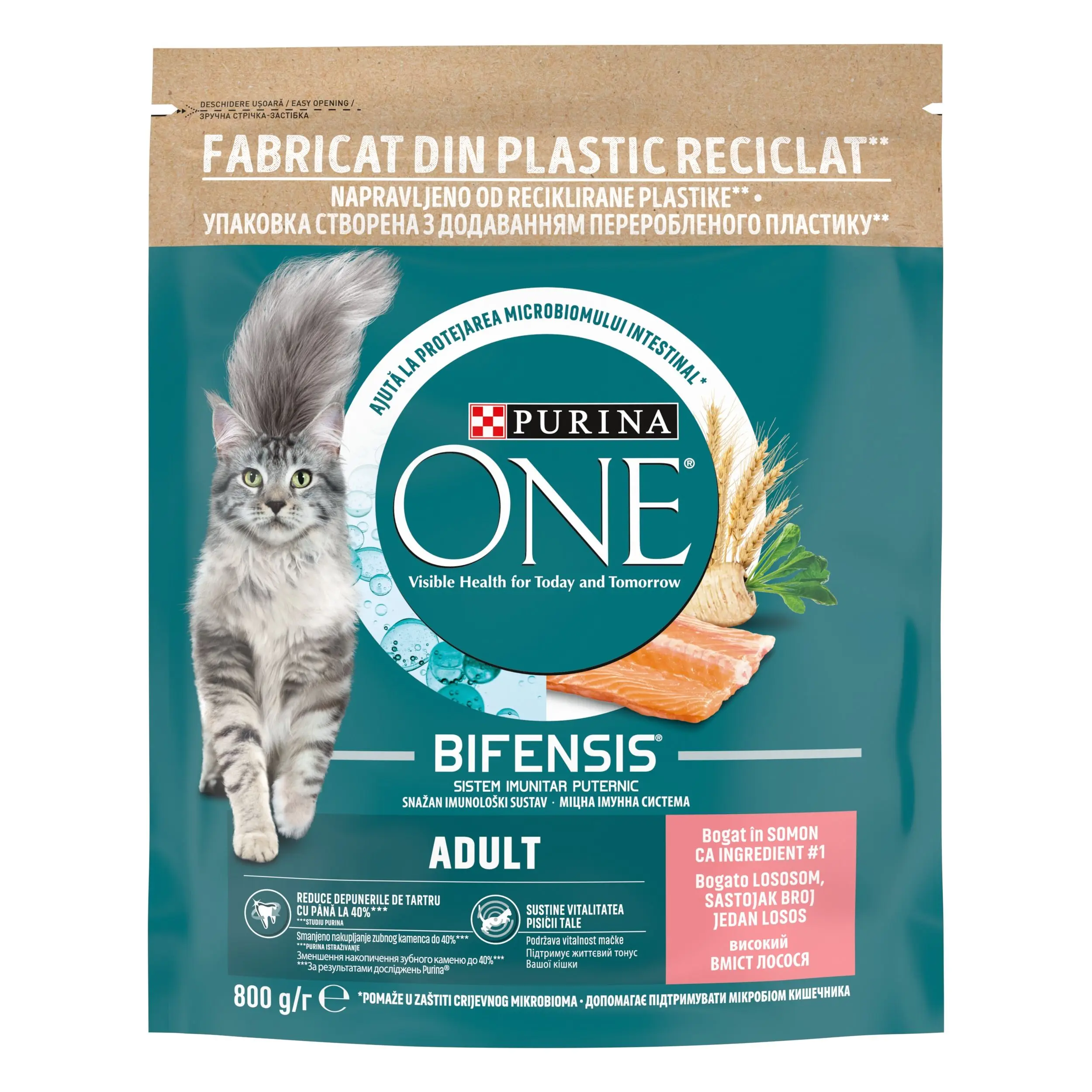 PURINA ONE ADULT, Somon si Cereale Integrale, hrana uscata pentru pisici, 750 g