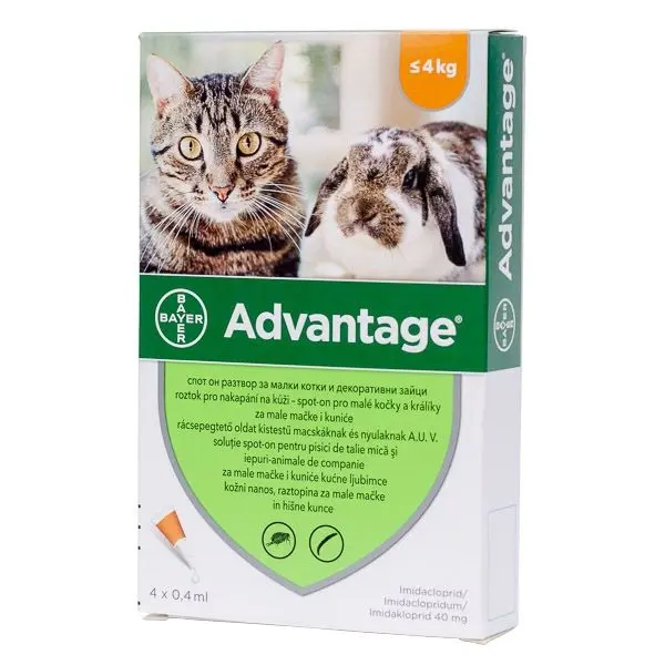 Advantage 40 Cat/ Rabbit x 4 Pipete