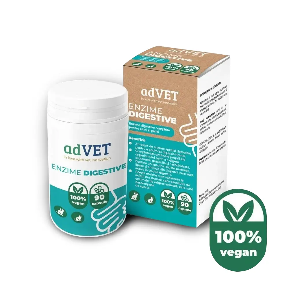 Enzime Digestive, supliment alimentar, 90 capsule