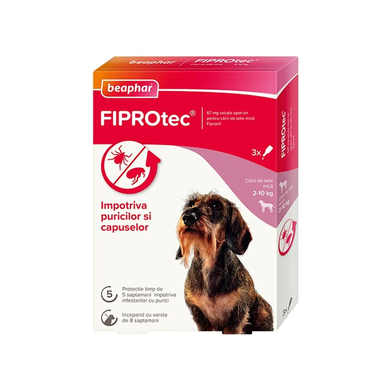 Pipete Antiparazitare Caini Fiprotec, Beaphar, S 2-10 kg/ 3 pipete x 0.67 ml