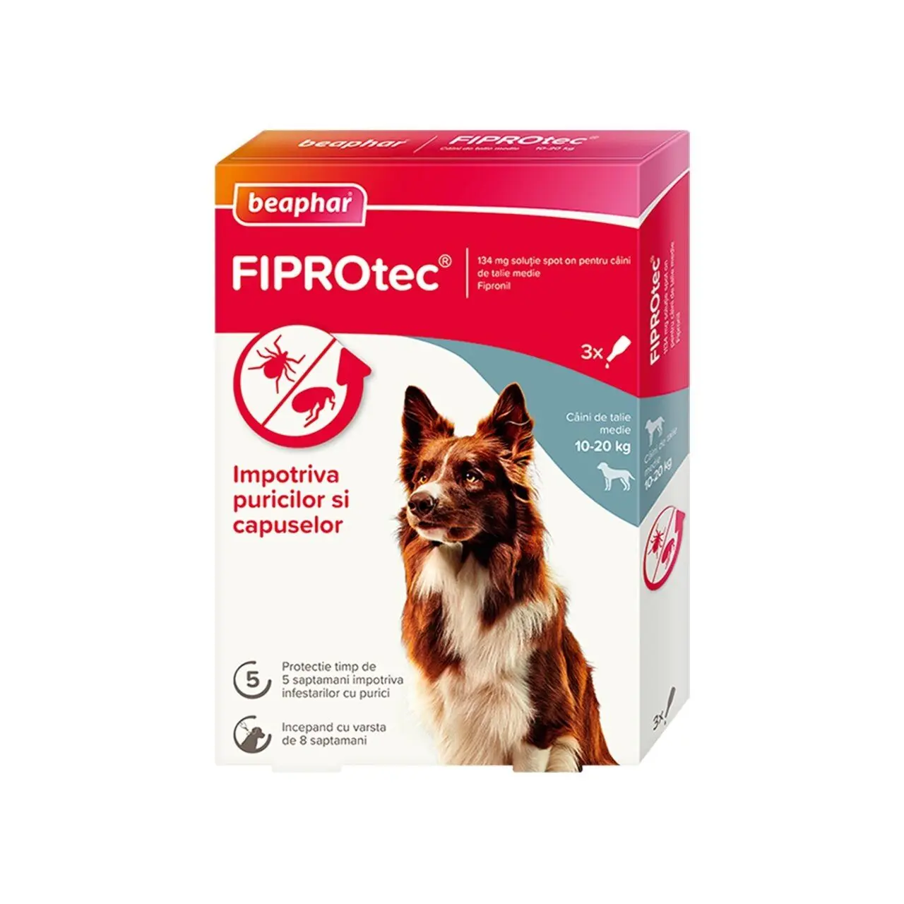Pipete Antiparazitare Caini Fiprotec, Beaphar, M 10-20 kg/ 3 pipete x 1.34 ml