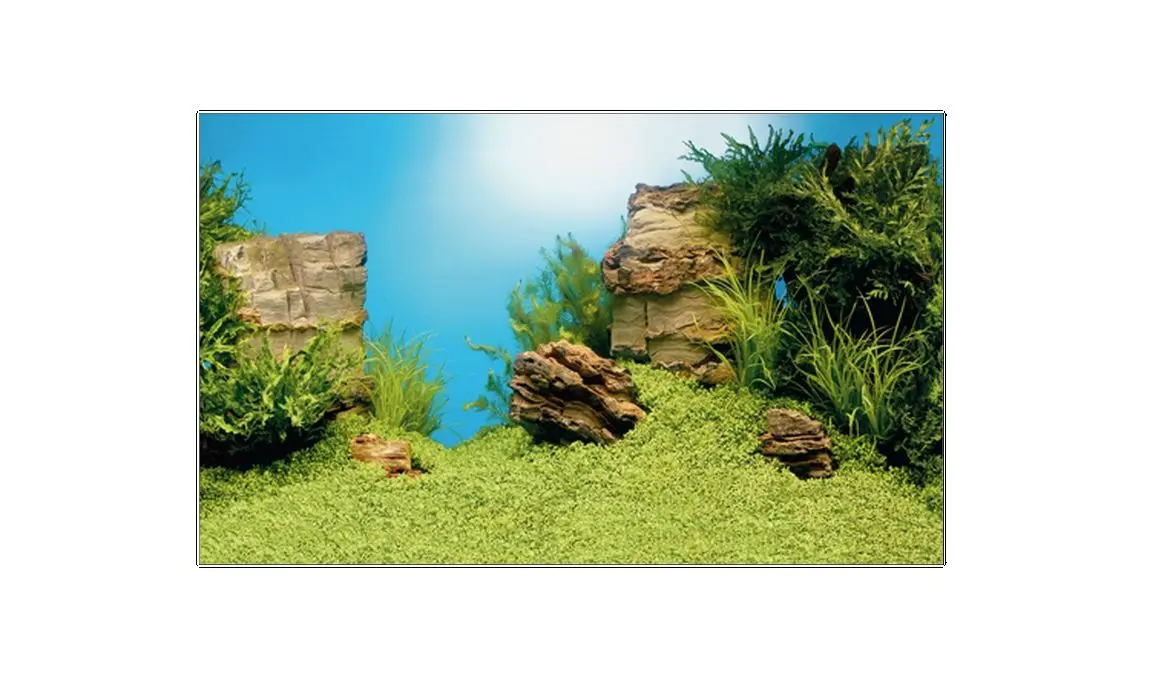 Juwel Decor Poster L