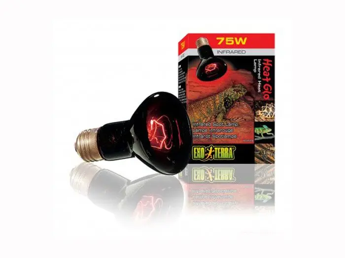 LAMPA HEAT GLO 100W