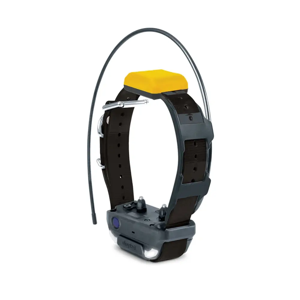 Extra Zgarda Pentru DOGTRA PATHFINDER 2 - Negru