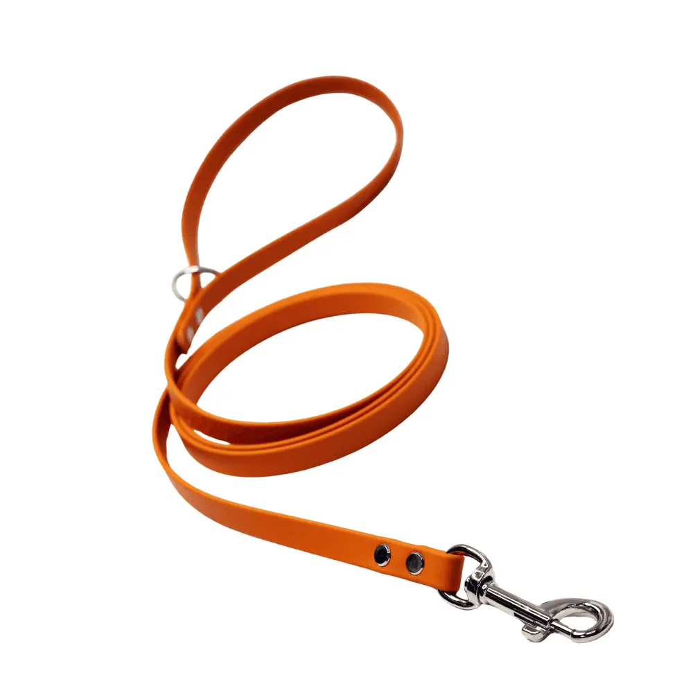 Lesa clasica BioThane 16kg Pupster - Burnt-Orange