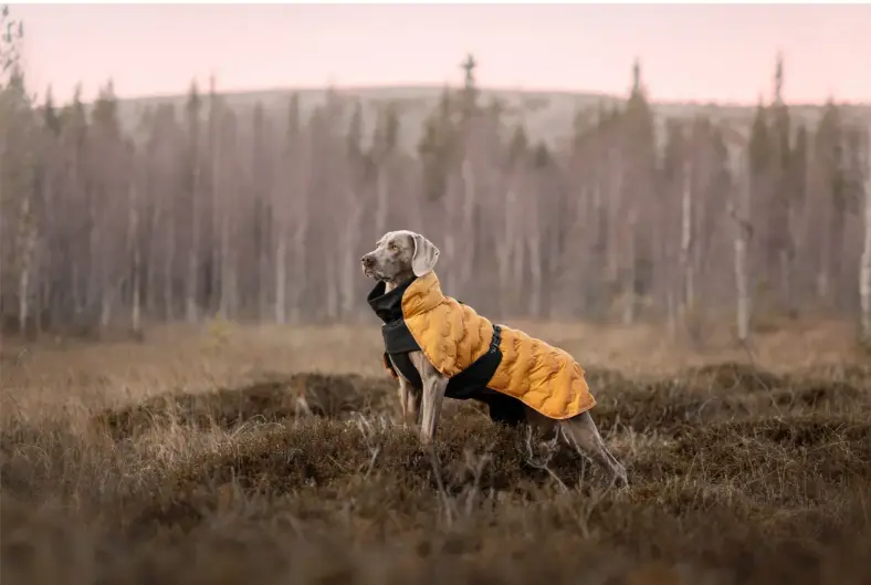 Rukka Pets Bubble Coat Honey - 40 cm