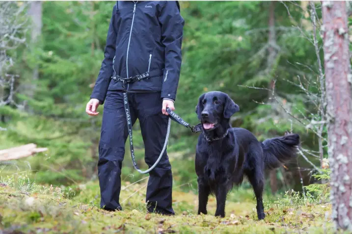 Rukka Pets Lesa + zgarda, alergare montana hands-free